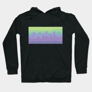 Alphacities: Delhi Hoodie